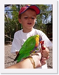 At the Zoo (8) * 576 x 768 * (89KB)
